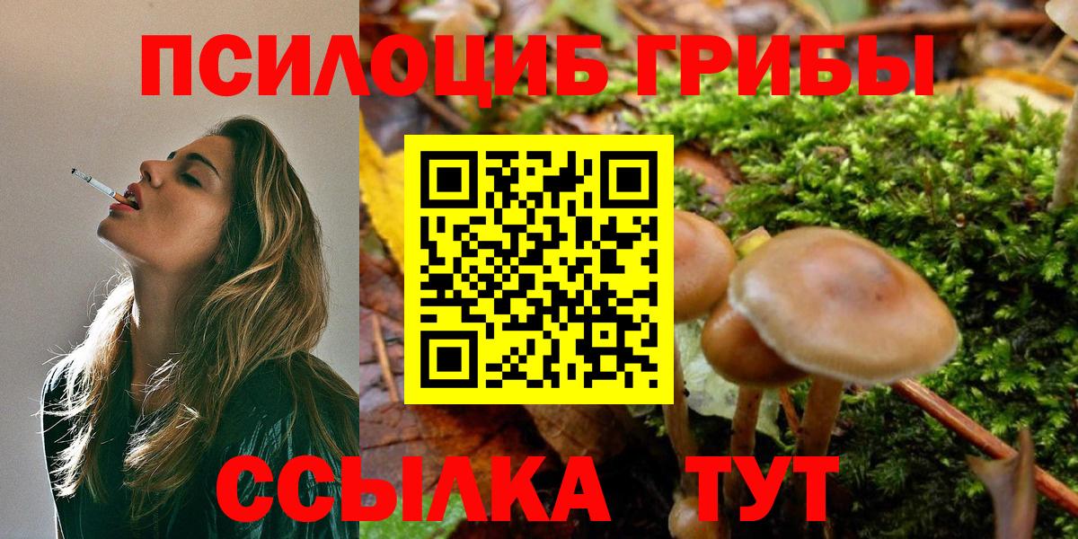 Галлюциногенные грибы мицелий  как найти закладки  Ступино  Вход с VPN 